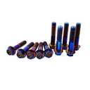 Rison Titanium Flanged Hex Head Bolt M10x1.25x25mm 6AL4V Aerospace Grade Ti Burnt Blue for Motorcycle Car Modification - Pack of 5 (Black)