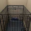 Midwest 24-Inch Single Door iCrate, for Small Breeds, 12-20 lbs