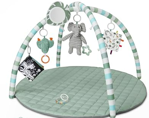 Blissful Diary Baby Play Gym Mat, Tummy Time Mat with 6 Detachable Toys for Stage-Based Sensory & Motor Skill Development, Baby Activity Mat Easy to Install & Clean, Baby Essentials Gift, Sage Green