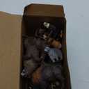 Toymany 12PCS North American Forest Animal Figurines, Realistic Jungle Animal Set Includes Moose,Cougar,Wolf,Bear,Eagle,Deer Educational Toy Cake Toppers Christmas Birthday Gift for Toddlers Kids 3-5