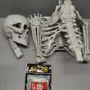Skeleton with Realistic Movable and Posable Joints for Halloween Indoor and Outdoor Decoration