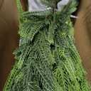 4FT 2Pcs Artificial Norfolk Pine Potted Christmas Tree for Front Door Decor