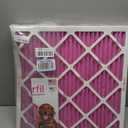Colorfil 20x20x1 Air Filter (2-Pack) | Made in the USA | Color Changing | Remove Cat and Dog Odor | MERV 8 for Pet Hair Dander and Dust | 19.5"x19.5"x0.75" Exact Size