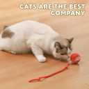 Chewie Viral 360 Smart Automatic Rolling Pet Ball (3 PCS) - Interactive Dog & Cat Toy