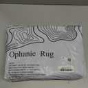 Ophanie Area Rugs for Bedroom Living Room, Grey Fluffy Fuzzy Shag Shaggy Soft Plush Carpet, 4x6 Indoor Floor Gray Rug for Kids Home Dorm Decor Aesthetic