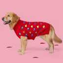 KYEESE Valentines Dog Sweater, Soft Large Dog Sweater with Heart Sequined Printing, Turtleneck Pet Sweaters for Large Dogs, Comfy Pet Sweaters Medium Size Dogs, Warm Pets Clothes with Leash Hole, 2XL (2XL (35-60lbs))
