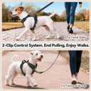 PHOEPET No Pull Dog Harness with Handle Front & Back Clip, Easy on Lockable Snap Buckle at Neck, Adjustable Reflective Vest with Handle for Dogs (M, Misty Green)