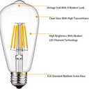 SHUWDKAR LED Light Bulbs DC 12V 6W E26 ST64 Low Voltage Bulb RV Camper Warm White 2700K Vintage Clear Glass Filament Edison Bulbs Equivalent 75W Halogen Marine Boat Solar 12V Battery Lighting,2 Pack