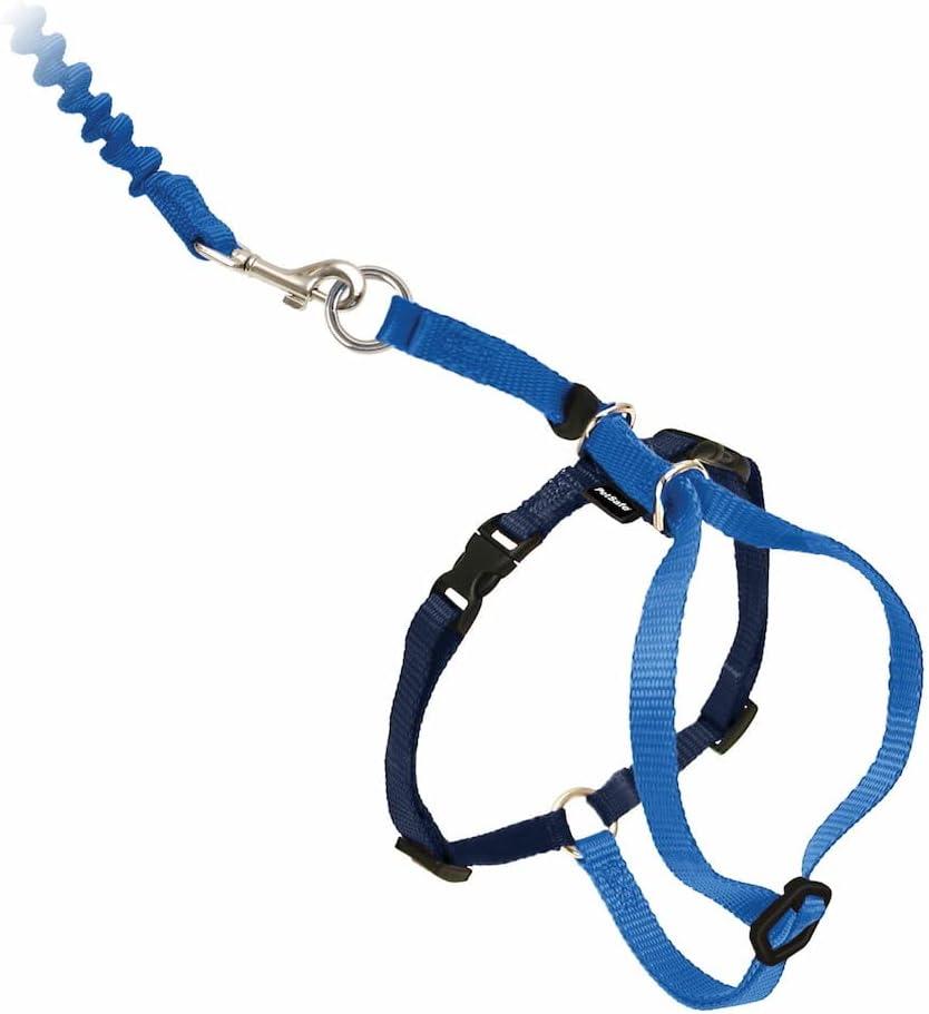 PetSafe Come with Me Kitty Harness and Bungee Leash, Large, Royal Blue (Large (Pack of 1))