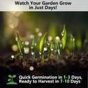 Cat Grass Kit for Indoor Cats, 3 Pack Fast Growing Cat Grass Kit with Eco-Friendly Biodegradable Pots, Soil & Organic Wheatgrass Seeds, Grows in 3-7 Days with High Germination Rate