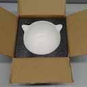 Ceramic Raised Cat BowlTilted Raised Cat Bowl Anti Vomit Cat Bowls for Indoor Cats Whisker Friendly Pet Feeder for Cats Puppies, Microwave and Dishwasher Safe (White)