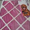 Colorfil 16x20x1 Air Filter (2-Pack) | Made in the USA | Color Changing | Remove Cat and Dog Odor | MERV 8 for Pet Hair Dander and Dust | 15.5"x19.5"x0.75" Exact Size