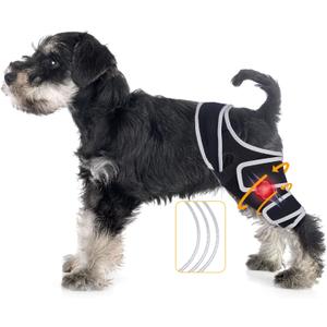 Dog Knee Brace for Acl Injury Recovery, Adjustable Support for Joint Pain and Mobility, Suitable for Front or Rear Legs, Helps Stabilize Ligaments and Improve Daily Activity, Small