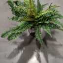 Hollyone 17.7" Fake Fern Potted Plant Small Artificial Boston Ferns in Pot 25 Leaves for Outdoors & Indoor Faux Fern Bush Plant for Patio Garden Farmhouse Windowsill Office Living Room Home Decor