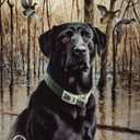 DUCKS UNLIMITED - Great Retrievers Metal Tin Sign 12.5W x 16"H , 13x16