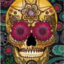 Tree-Free Greetings EcoNotes 12 Count Sugar Skull Paisley All Occasion Notecard Set with Envelopes, 4 x 6 Inches (FS56287)