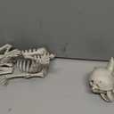 JOYIN Plastic Chihuahua Dog Skeleton Halloween Decorations 12.6 inches Plastic Puppy Bones Skeleton with Posable Joints for Halloween Indoor Outdoor, Graveyard Party Decor