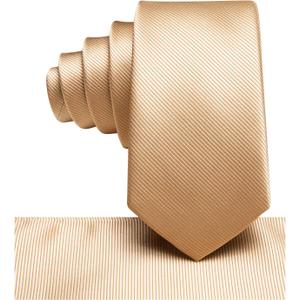 Hi-Tie Boys Ties Self Tie Silk Striped Kids Necktie and Pocket Square Set Paisley Boys Tie for Age 8-11 Wedding (Champagne)
