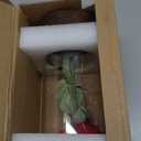 SW Preserved Rose Enchanted Rose Red Silk Rose in Glass Dome with LED Lights Pine Base, Romantic Home Decor Gifts for Mom Women Valentines Day Christmas Mothers Day Wedding Anniversary Birthday