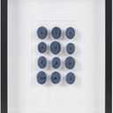 INK+IVY Indigo Shells Wall Dcor Natural Sea Urchin, Glass Framed Art for Living Room Entryway Home Accent, Ready to Hang Bedroom Decoration, 15.75" W x 19.69" H x 1.97" D, Blue MT95B-0065