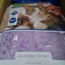 PetSafe ScoopFree Odor Control Crystal Cat Litter, Lavender Scent, 8 Lb Bag, Pack of 3