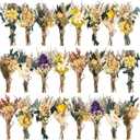 Layhit 24 Pcs Boho Dried Flower Bouquet Mini Wedding Handmade Dry Flowers Decor for Vase Crafts DIY Photo Boutonniere for Men Floral Plant for Bridesmaid Gift Birthday Decor (Vivid)