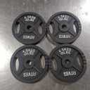 Fitvids Cast Iron Weight Plate 10lb , Set Of 4
