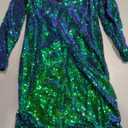 Vijiv Art Deco Great Gatsby Inspired Tassel Beaded 1920s Flapper Dress (Small, Multicolor Green)