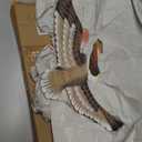 T.I. Design Hand-carved Wood Flying Pelican | Coastal Nautical Beach Wall Dcor Natural Wood Finish