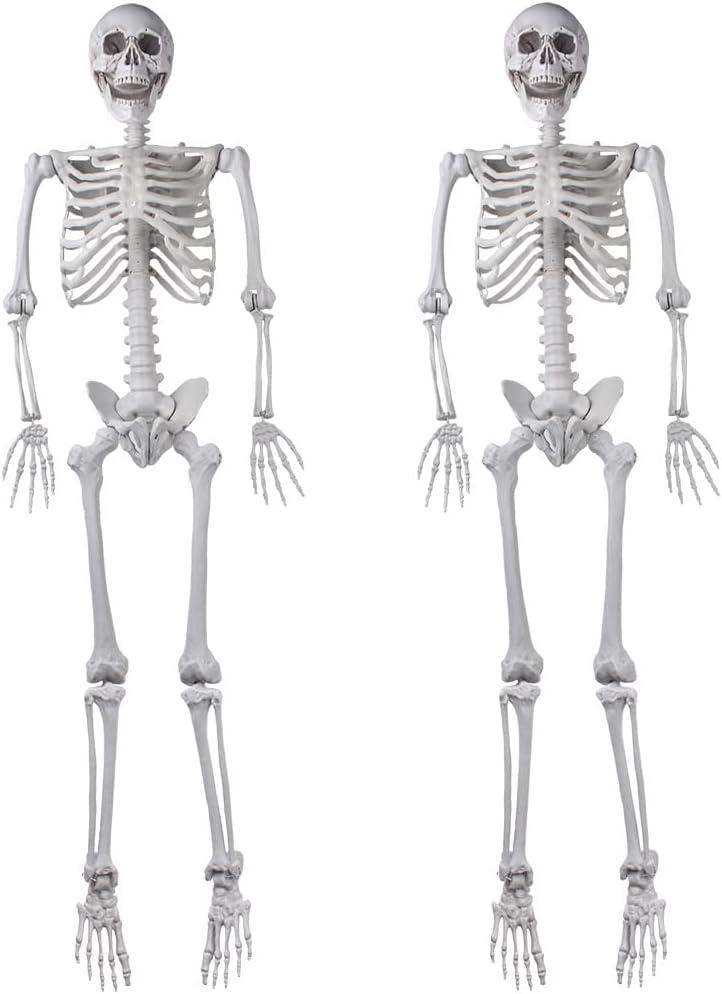 2Packs 5.4ft Halloween Human Skeletons Life Size Full Body Bones with Movable Joints for Halloween Props Spooky Party Decoration