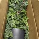 4FT Real Touch Cedar Topiary Trees for Front Porch Decor, Artificial Shrubs Faux Plants Potted UV Resistant Fake Greenery for Outdoor Indoor Door Garden Farmhouse Home Decoration (Set of 2)