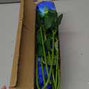 hailanbao Blue Artificial Roses with Long Stems, 12Pcs Realistic Roses Artificial Flowers, Faux Roses | Bulk Fake Flowers for Home Decor, Wedding Party Table Centerpieces, DIY Bouquet