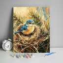 HULDFRDA Paint by Number Birds, Cute Bluebird in Pine Tree Nest Oil Painting by Number Kits for Adults, Room Wall Decor Arts, 16x20 Inch