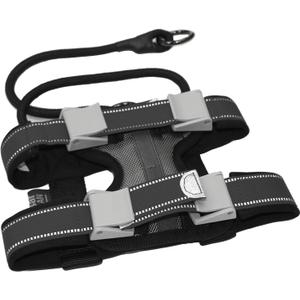 Cesar Millan Pack Leader Collar - Training Collar of The Dog Whisperer (Grey, Medium)