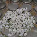 12 Sets Mason Jar Centerpiece Table Decorations, Artificial Peony Baby's Breath Flower Bouquets, Faux Flowers with Vase, Rustic Decor Gifts for Home, Wedding, Holiday (White)