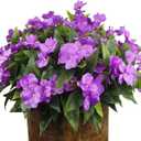 4 Pcs Artificial Impatiens Flowers for Outdoors Faux Impatiens Bushes Multicolor Silk Flowers Greenery Artificial Impatiens Bouquet for Patio Lawn Garden Pot Hanging Basket Porch Decoration