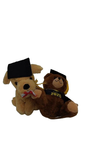 2 Pack Graduation Bear Class of 2025 and Puppy with Cap and Diploma 10 in Tall