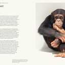 The Animal Mind: Profiles of Intelligence and Emotion