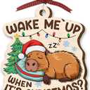 Capybara Christmas Ornament 2025 - Funny Animal Ornaments for Tree Decor, Unique Animal Lover Gifts, Capybara Ornament for Women Men, Funny Gifts for Friends Neighbors Boys and Girls