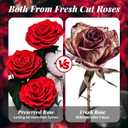 Flowers Forever Roses in A Box, 3 Real Roses with Stems and Bear, Eternal Rose Gifts for Her,Birthday Gifts for Women, Mom,Girlfriend,Grandma,Daughter,Red