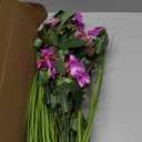 11 Bundles Artificial Fake Flowers Plants for Outdoor Decoration, Fake Silk Petunias Flowers with Fake Wheat Grass UV Resistant for Home Outside Garden Balcony Yard Porch Decor (Red Lotus)