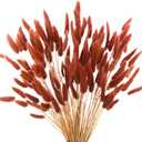120pcs Burnt Orange Bunny Tails Dried Flowers,17" Dried Faux Pampas Grass Bulk Decor Fall Pampas Dried Boho Flowers Lagurus Ovatus Rabbit Bunny Tail Grass for Home Wedding Decor Crafts