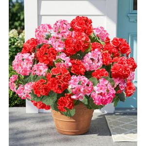 Fake Geraniums Artificial Flowers for Outdoors, 6 Bundles Silk Geraniums Flowers Realistic UV Resistant Fake Plants Faux Flowers for Outside Planters Front Door Garden Balcony Yard Porch Indoor, Mix
