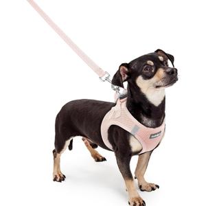rabbitgoo Dog Harness Small Sized and Leash Set, Step in Soft Light Puppy Vest, Breathable Mesh Pet Harness, Reflective for Outdoor Safe Walking, Pink (XXXS (Chest: 10.8 - 11.8"))