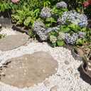 FANTIAN 5 lbs White Pebbles for Indoor Plants, 0.5-1 Inch Pea Gravel Stones for Planters, Decorative River Rocks for Succulent, Cactus, Vases, Aquariums, Crafting and Garden Landscaping