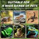 Hide Resin Cave Shelter for Ball Python, Lizard, Leopard Gecko, Bearded Dragon, Terrarium Habitat Decoration (Faux Mud Color with Feeding Ledge, Large)