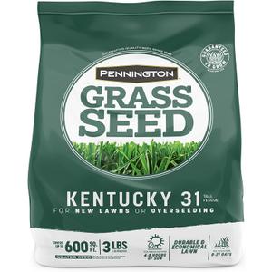 Pennington Kentucky 31 Tall Fescue Penkoted Grass Seed 3 lb