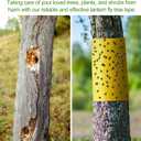 4 Rolls 260ft Lantern Fly Tree Tape Outdoor Adhesive Crawling Insect Trap Yellow Sticky Traps Sticky Barrier Protecting Trees Outdoor Indoor Fruit Tree Lawn Garden Control Aphids Ant Moth