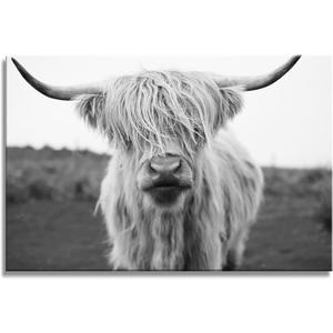 XXMWallArt FC3681 Highland Cow Canvas Art - Black and White Animal Wall Art for Living Room, Bedroom, Office Wall Decor, Size: 48"L x 32"W