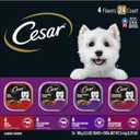 Cesar Wet Dog Food Classic Loaf in Sauce Beef Recipe, Filet Mignon, Grilled Chicken and Porterhouse Steak Variety Pack, 3.5 oz. Easy Peel Trays (24 Count, Pack of 1)